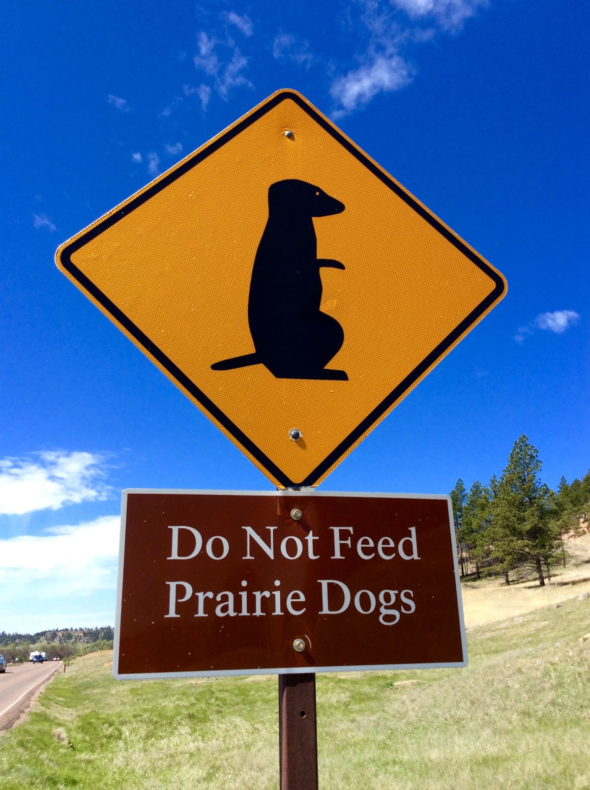 Devils-Tower-Wyoming-USA-11