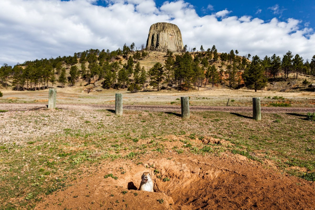 Devils-Tower-Wyoming-USA-2