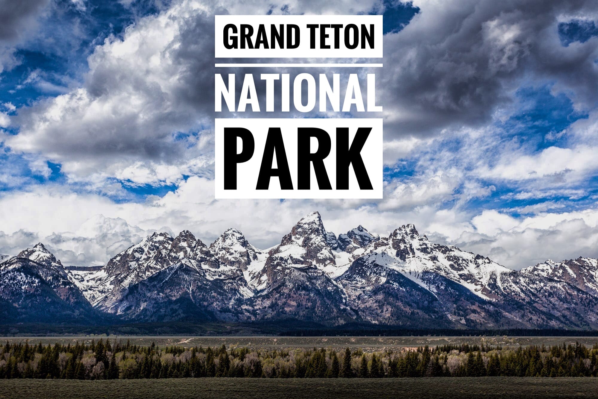 Grand Teton Nationalpark – Berge, Bisons und Pistolen