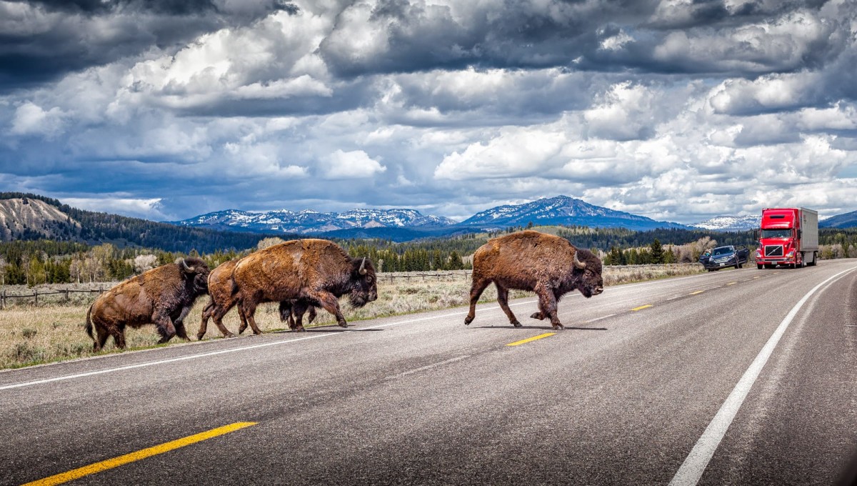 Grand-Teton-Nationalpark-Wyoming-USA-13