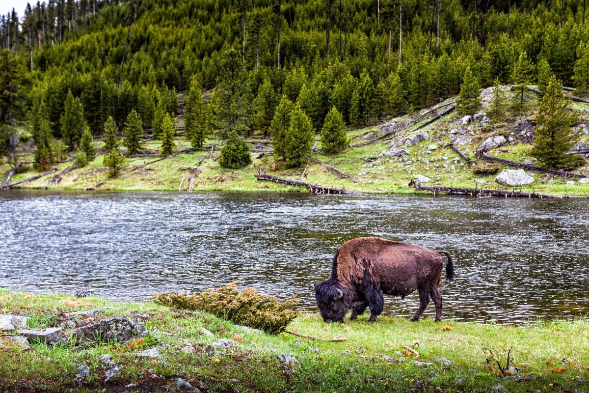 Grand-Teton-Nationalpark-Wyoming-USA-17