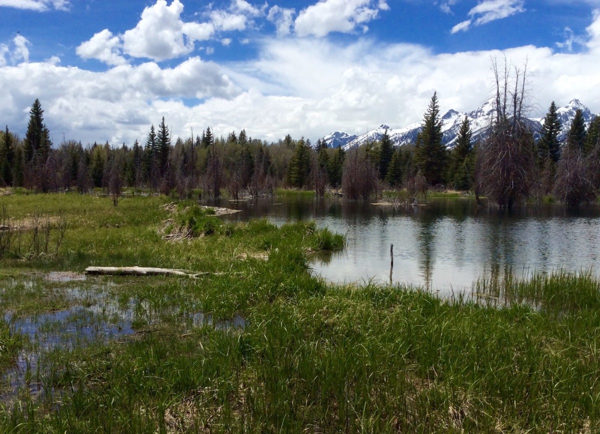 Grand-Teton-Nationalpark-Wyoming-USA-19