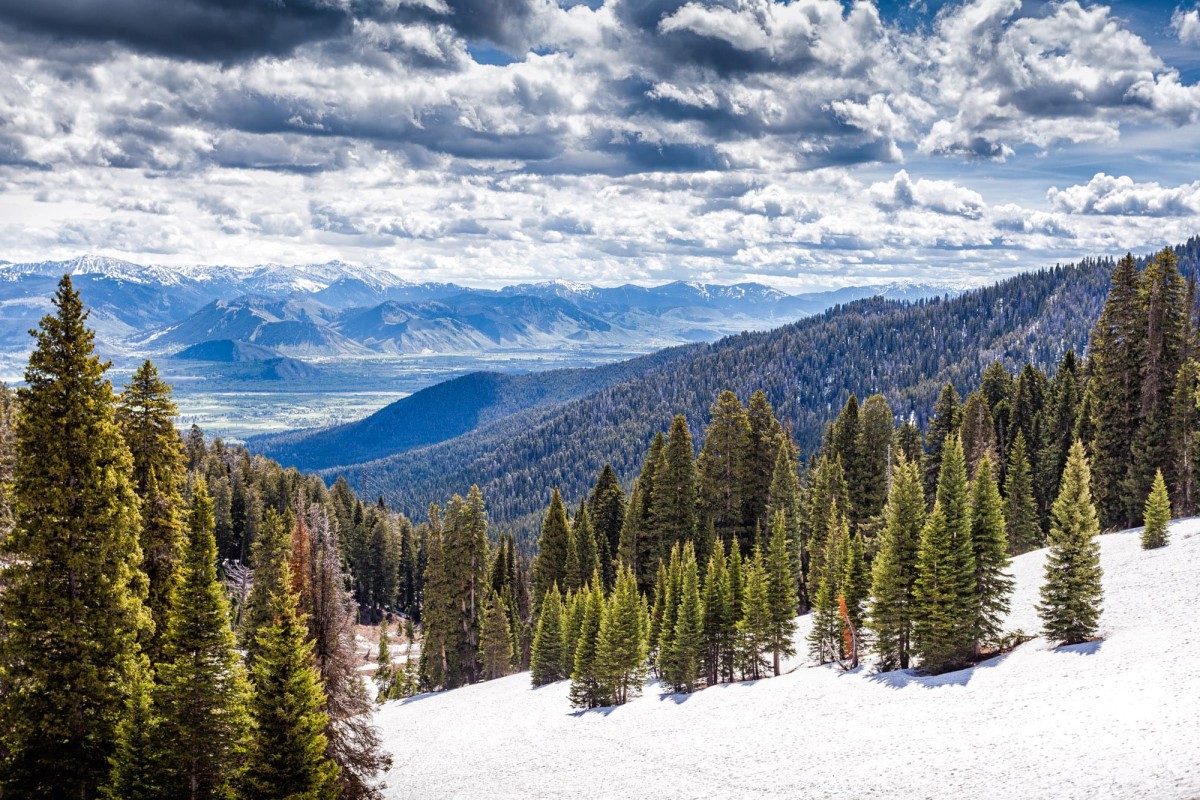 Grand-Teton-Nationalpark-Wyoming-USA-2