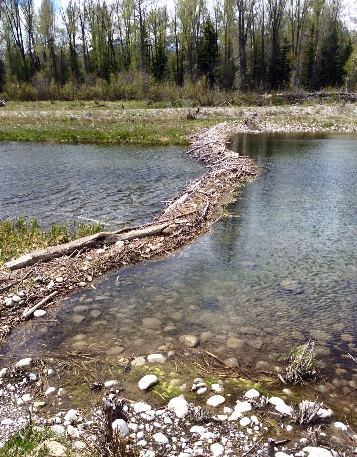 Grand-Teton-Nationalpark-Wyoming-USA-23