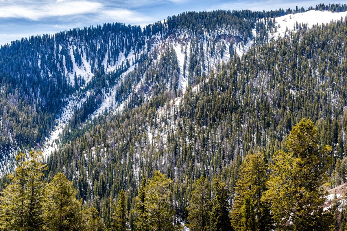 Grand-Teton-Nationalpark-Wyoming-USA-5