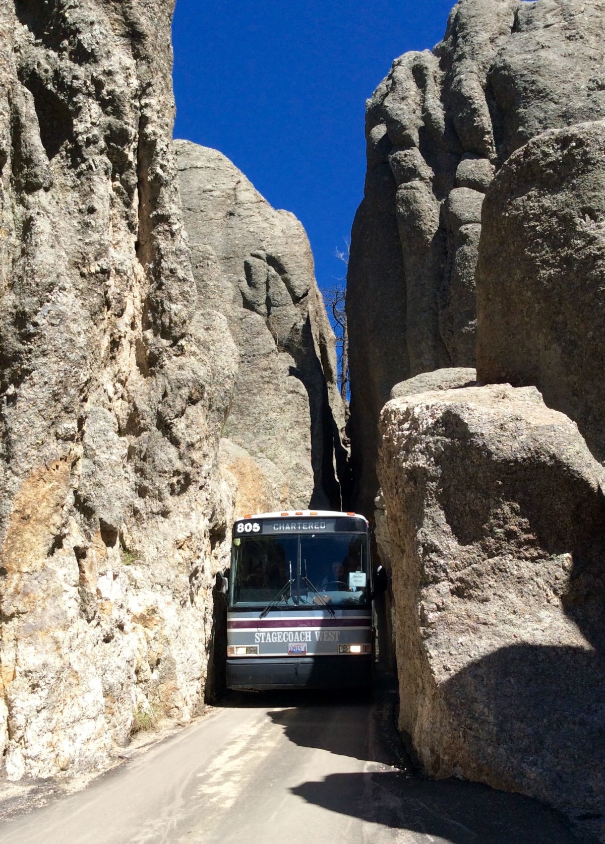 Needles-Highway-South-Dakota-USA-5