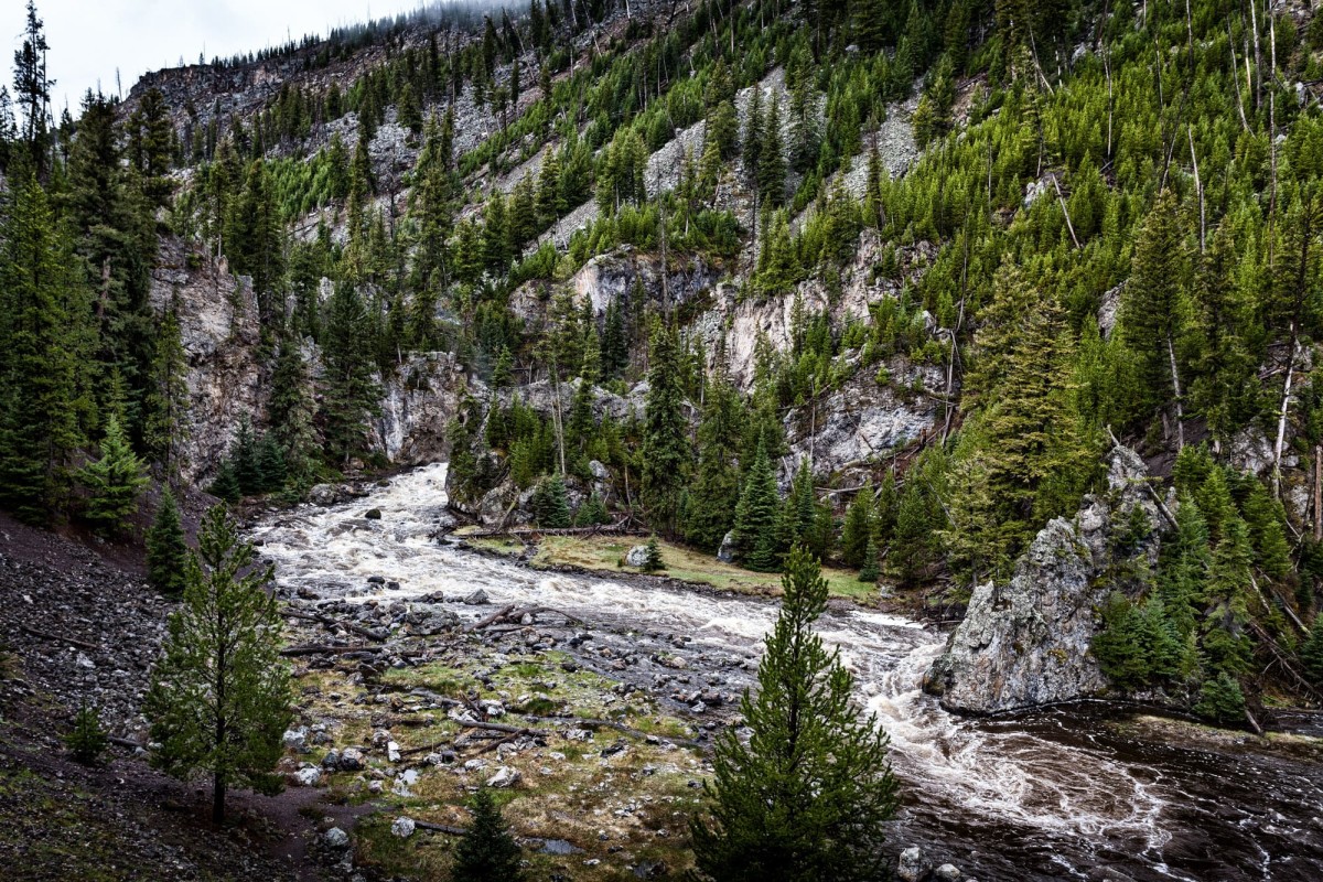 Yellowstone-Nationalpark-Wyoming-USA-1