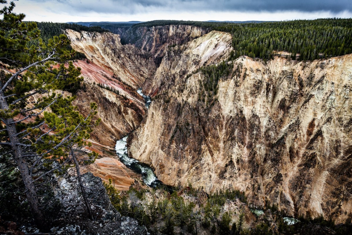 Yellowstone-Nationalpark-Wyoming-USA-20