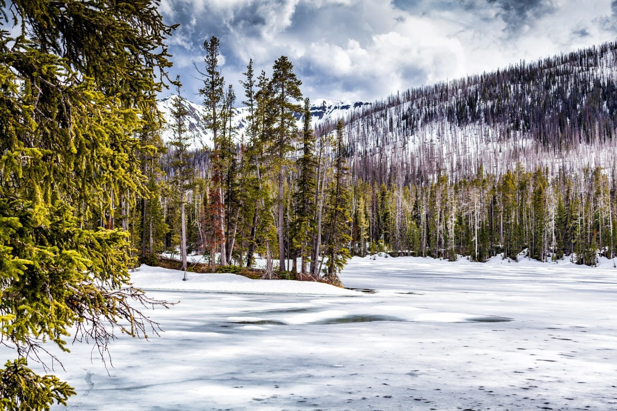 Yellowstone-Nationalpark-Wyoming-USA-21