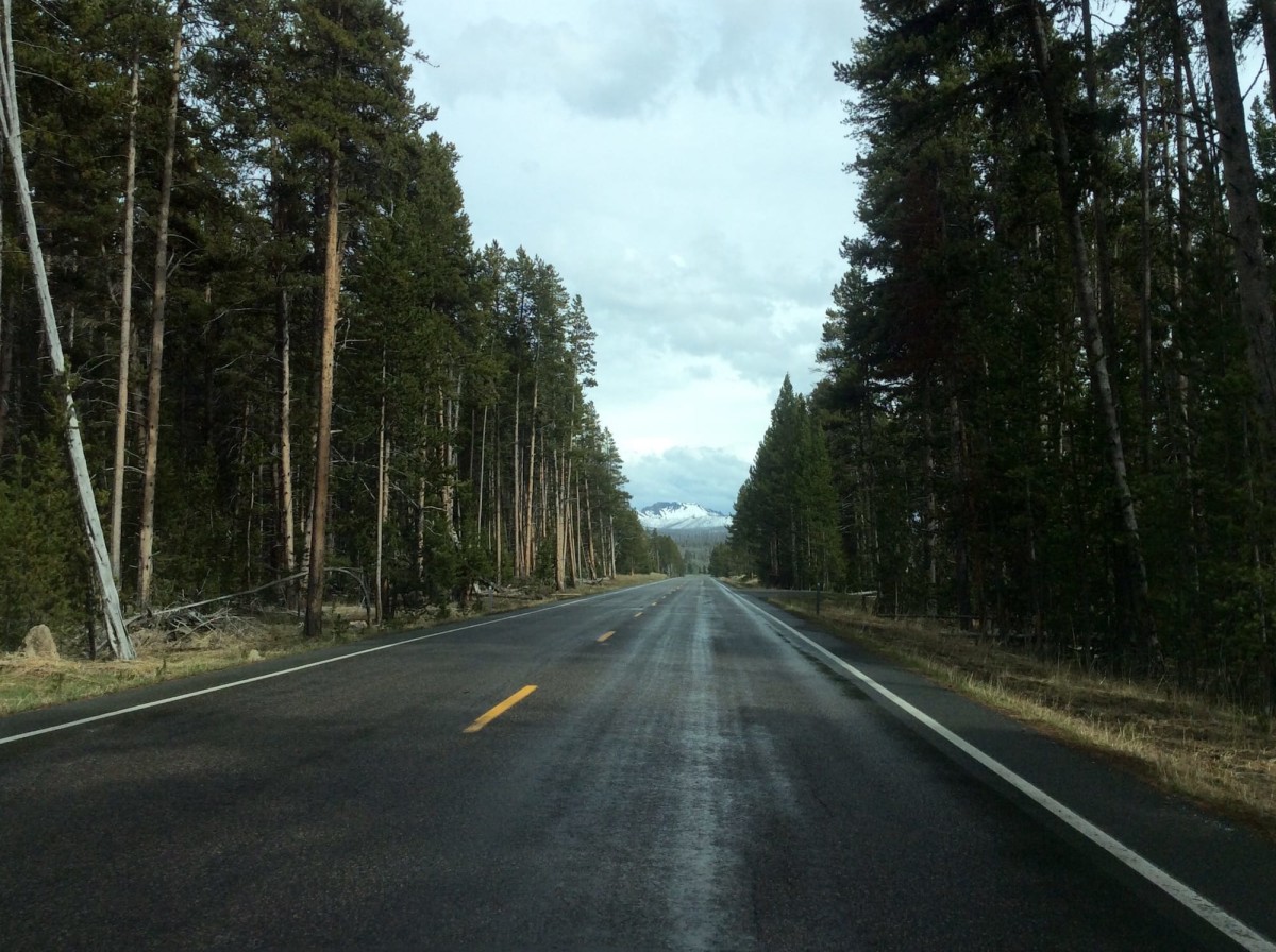 Yellowstone-Nationalpark-Wyoming-USA-23