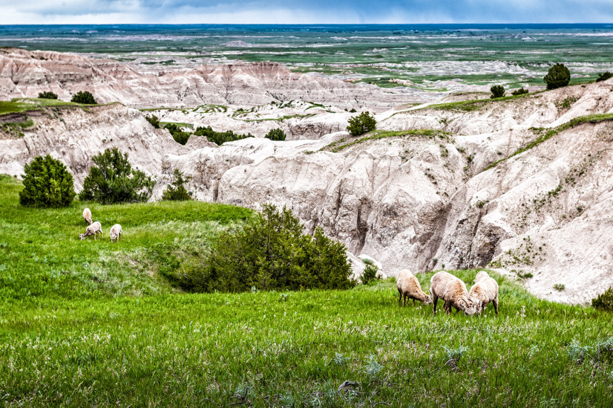 Badlands-Nationalpark-South-Dakota-USA-8