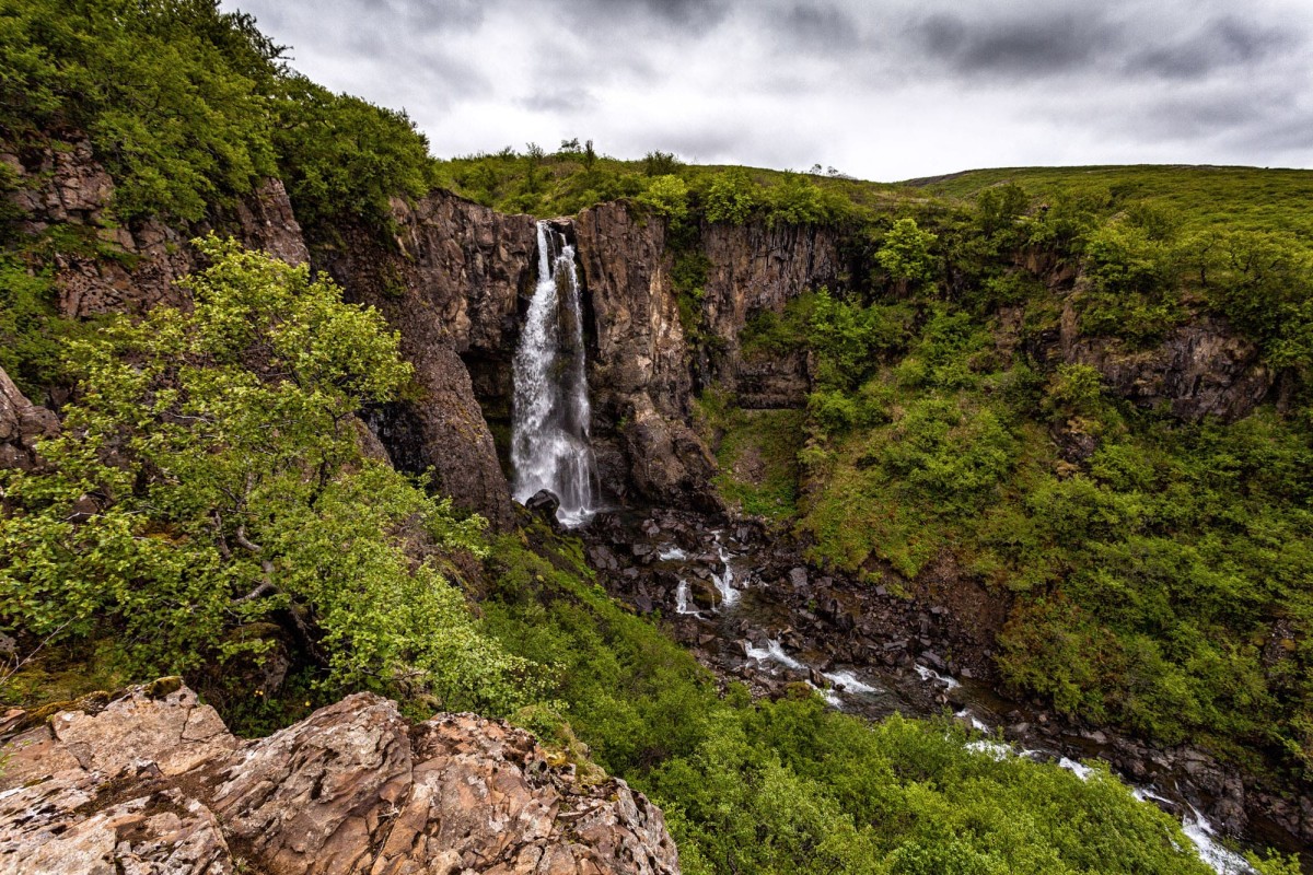 island-ringstrasse-svartifoss-2