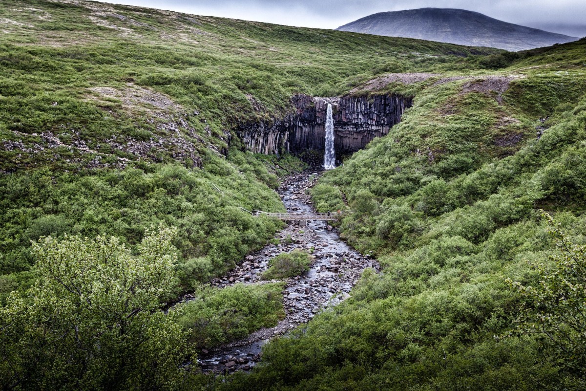 island-ringstrasse-svartifoss-3