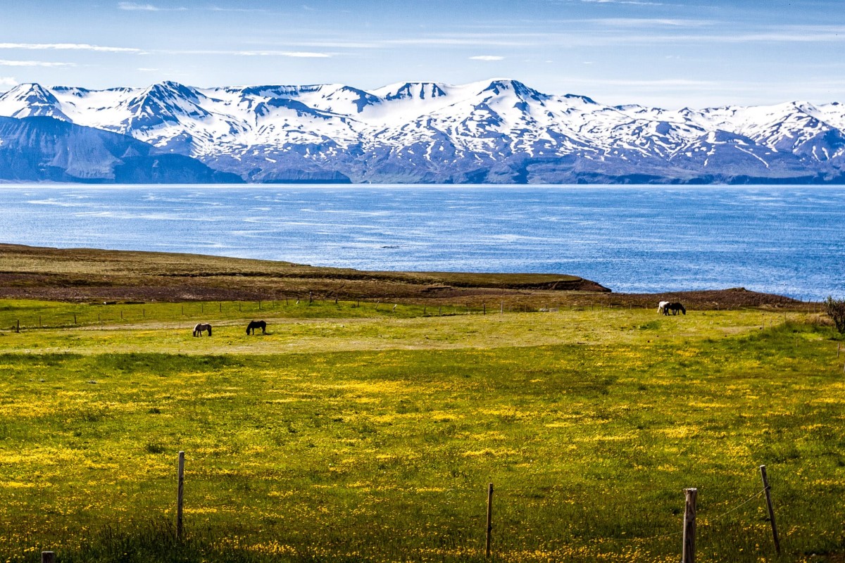 island-ringstrasse-husavik-4