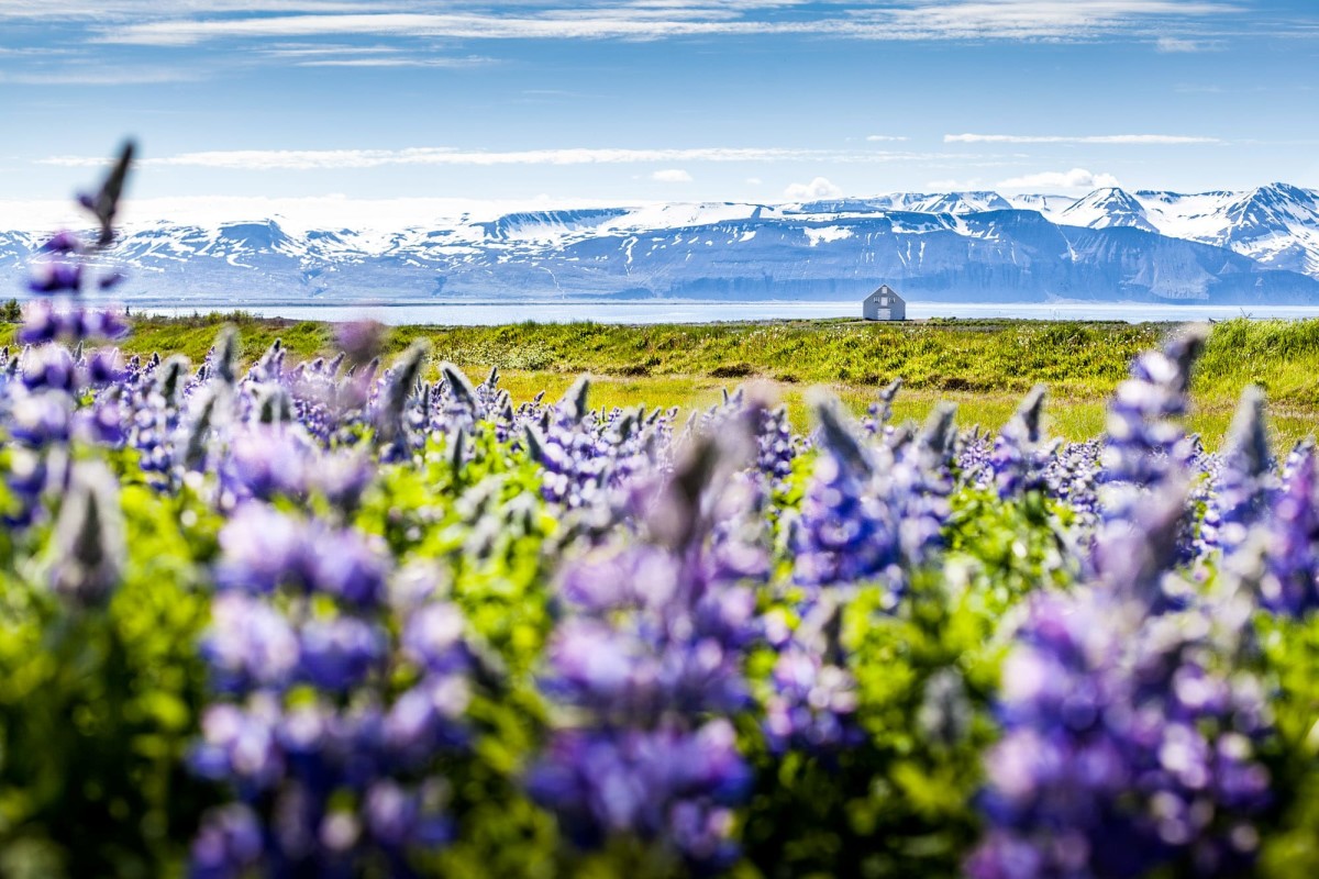 island-ringstrasse-husavik-5