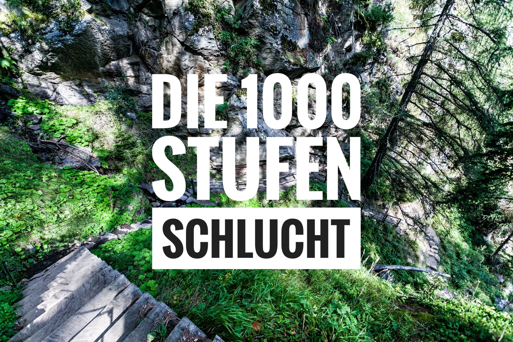 Die 1000 Stufen Schlucht – Wandern am Meraner Höhenweg