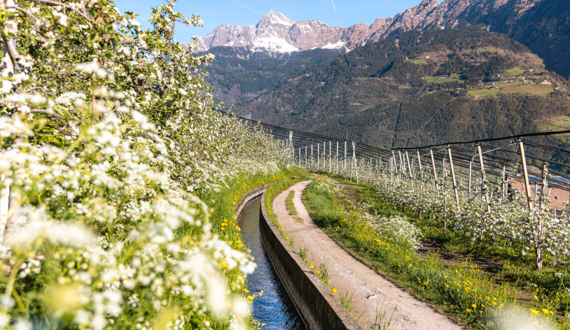 Der Marlinger Waalweg und Höhenweg – Wandern im Meraner Land