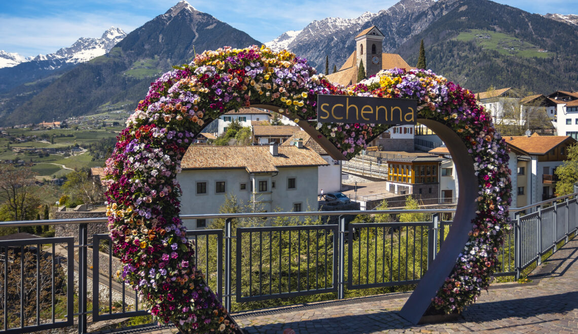 Frühlingswanderung in Schenna – Apfelblüte im Meraner Land